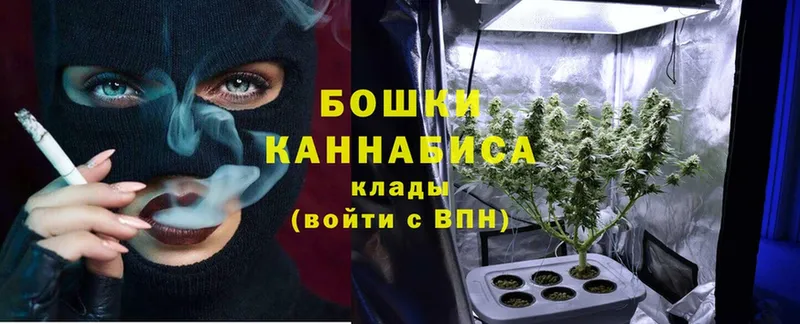 KRAKEN сайт  Тавда  Каннабис White Widow 